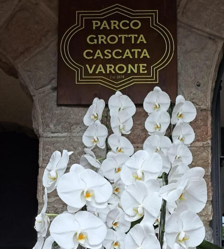 Appartamento Peace&Lake Riva del Garda Eksteriør billede